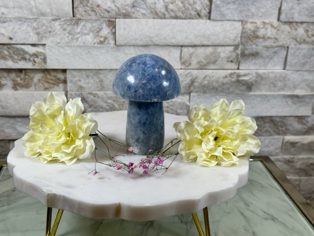 Blue Calcite Set 1